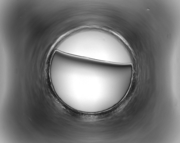 X0000086230783200703290943