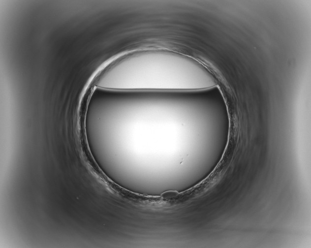 X0000086230784200703290942