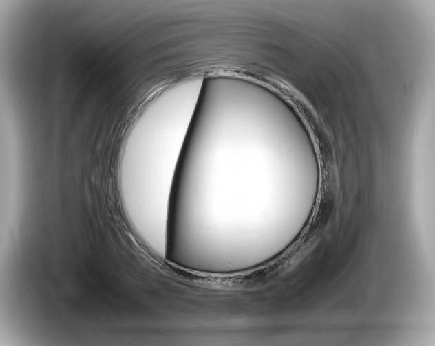 X0000086230785200703290942