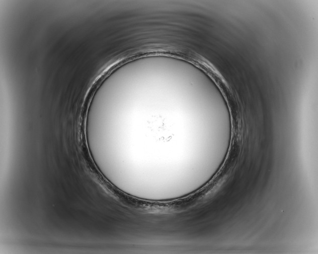 X0000086230786200703290942