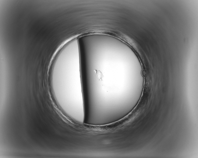 X0000086230787200703290942