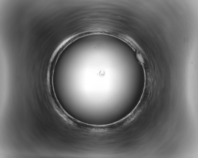 X0000086230788200703290942