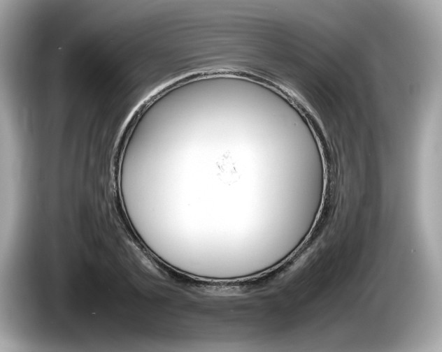 X0000086230789200703290942