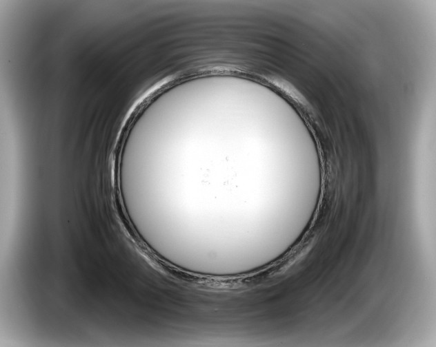 X0000086230790200703290942