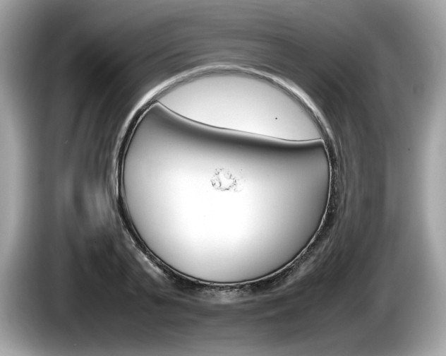 X0000086230791200703290942