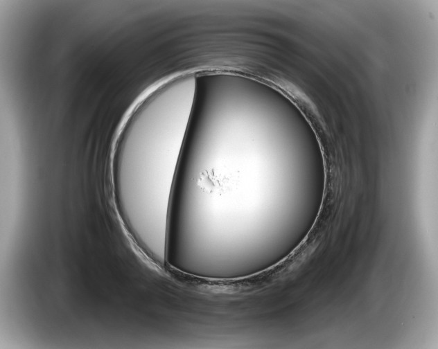 X0000086230792200703290942