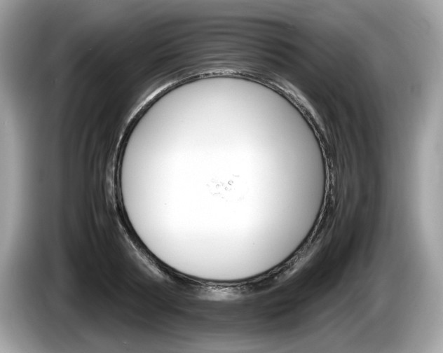 X0000086230794200703290942