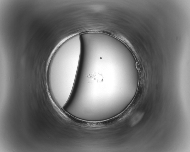X0000086230795200703290942