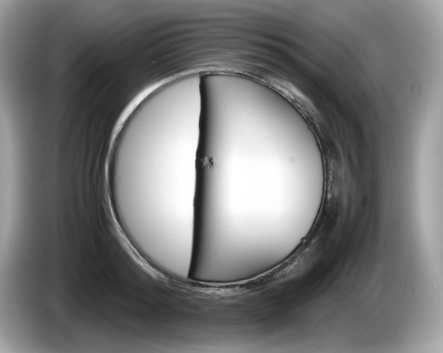X0000086230796200703290942