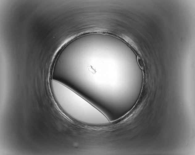 X0000086230797200703290942
