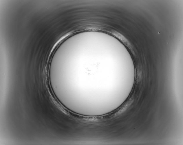 X0000086230798200703290942