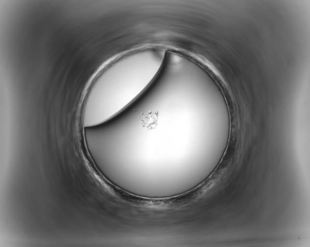 X0000086230799200703290942