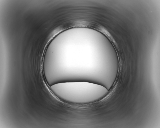 X0000086230802200703290942