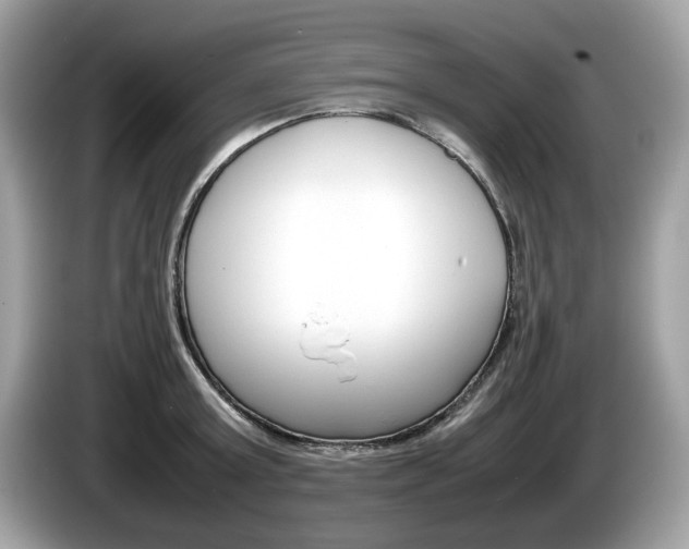 X0000086230803200703290942