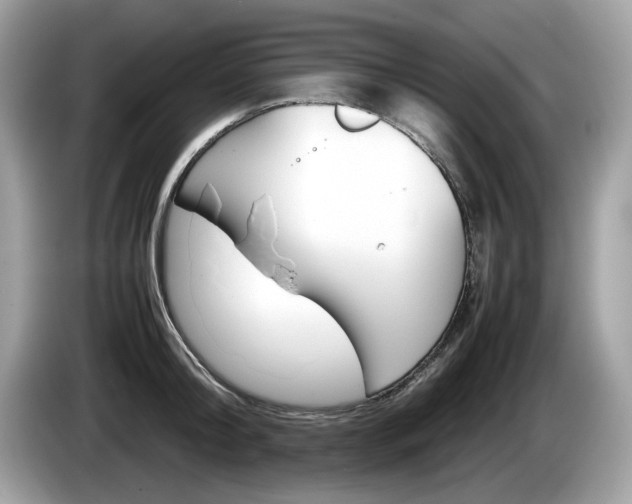 X0000086230804200703290942