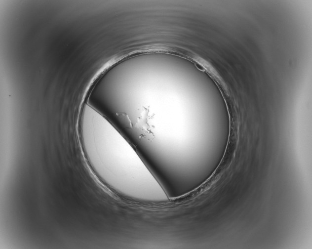 X0000086230805200703290942