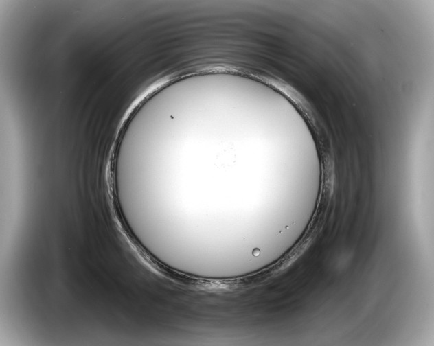 X0000086230806200703290942