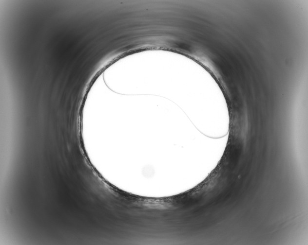 X0000086230807200703290942