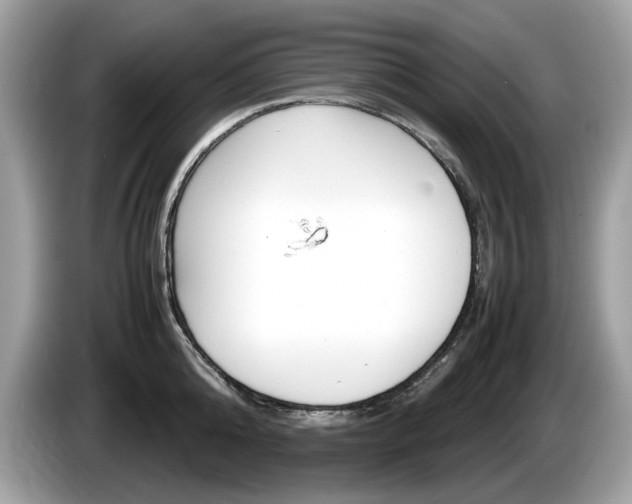 X0000086230808200703290942