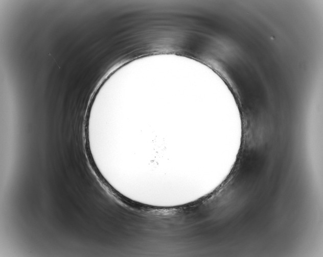 X0000086230810200703290942