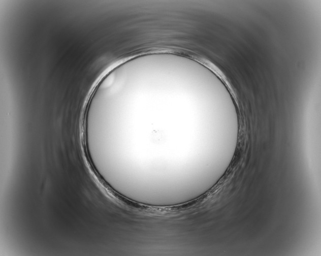 X0000086230811200703290942