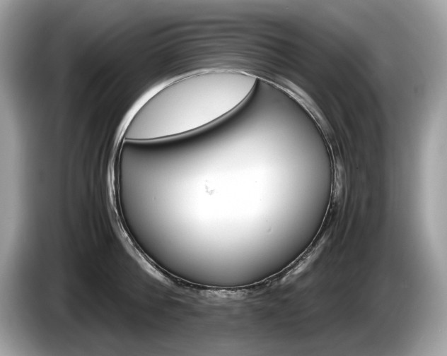 X0000086230812200703290942