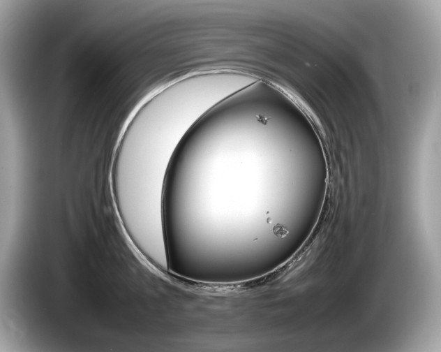 X0000086230813200703290942