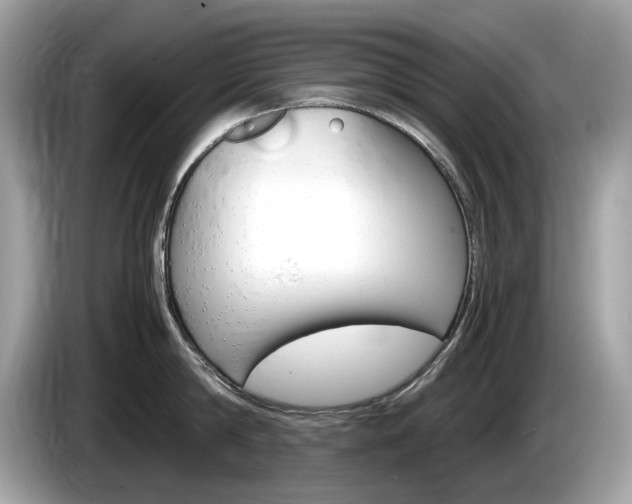 X0000086230814200703290942