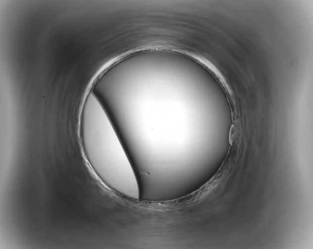 X0000086230815200703290942