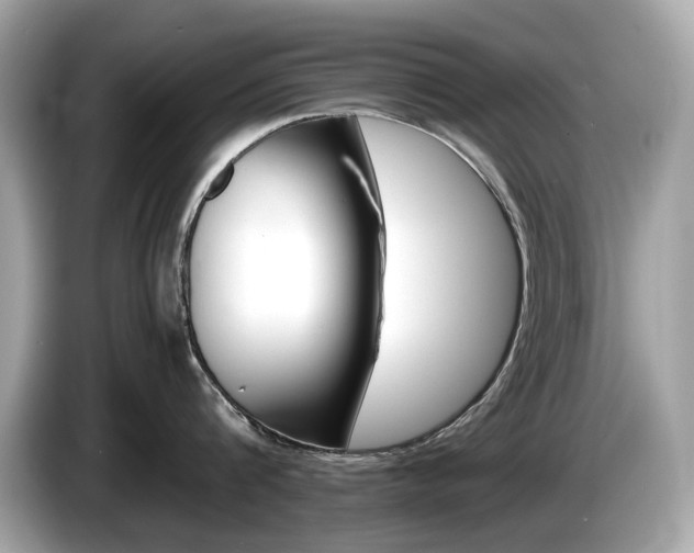 X0000086230816200703290942