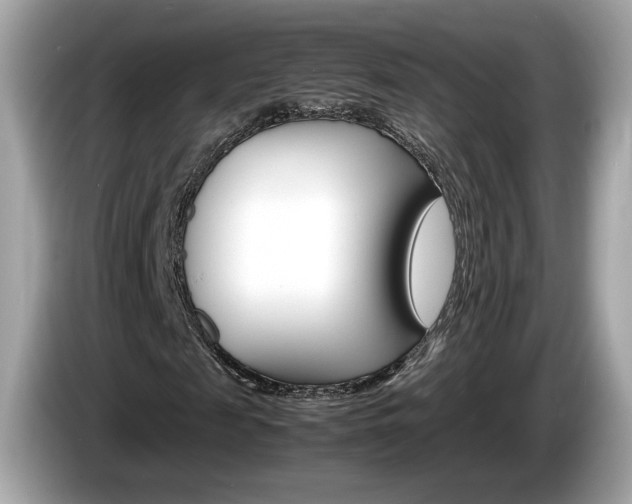 X0000086230817200703290941