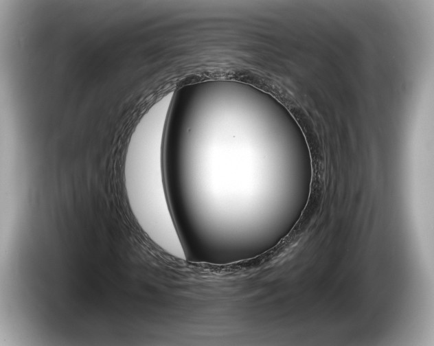 X0000086230818200703290941
