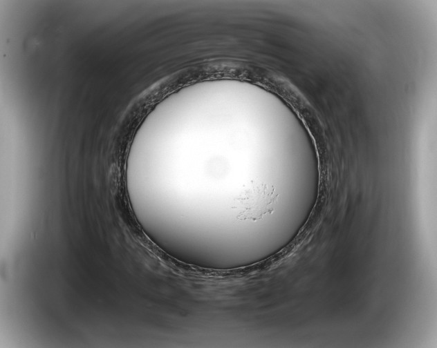 X0000086230821200703290941