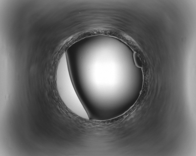 X0000086230822200703290941