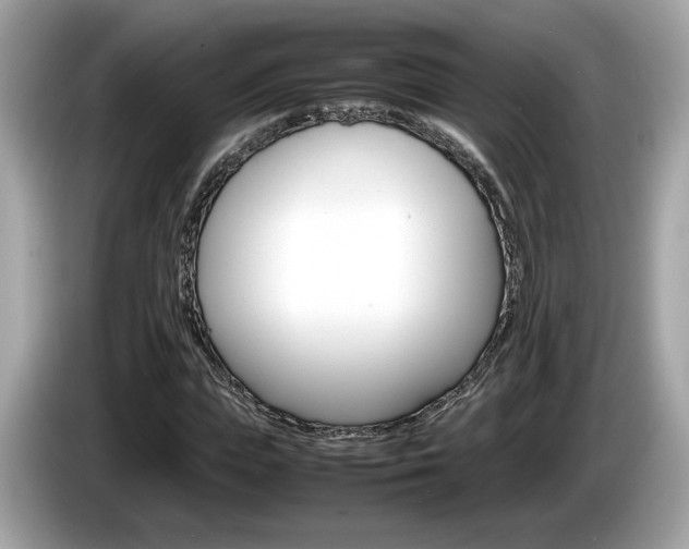 X0000086230823200703290941