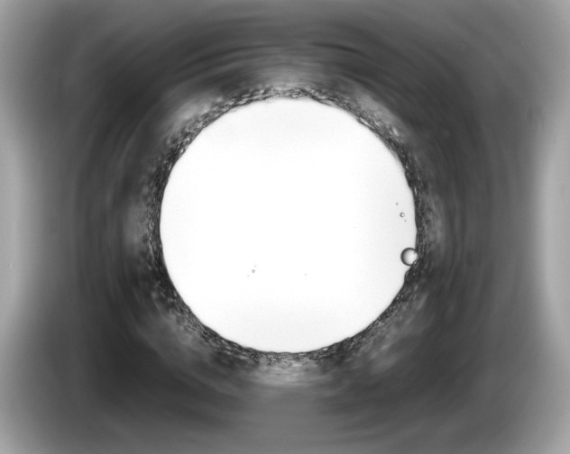 X0000086230824200703290941