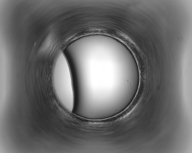 X0000086230825200703290941