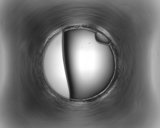 X0000086230826200703290941