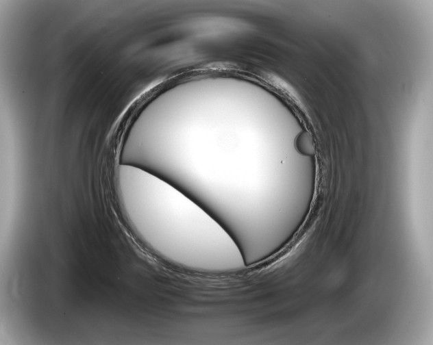 X0000086230827200703290942
