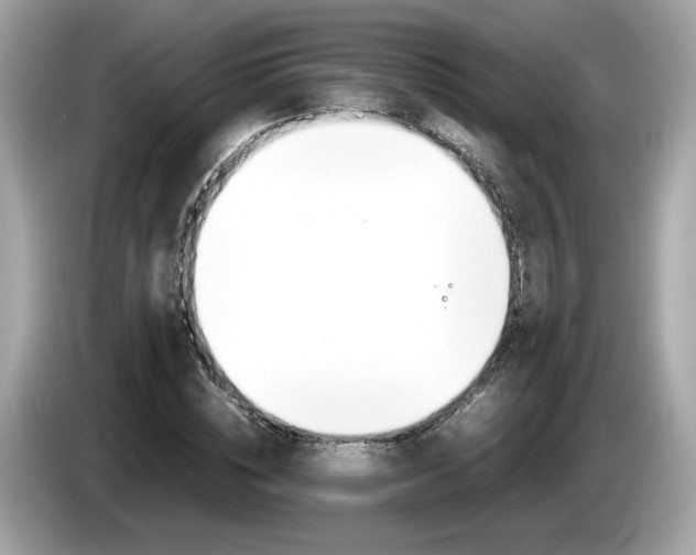 X0000086230828200703290942