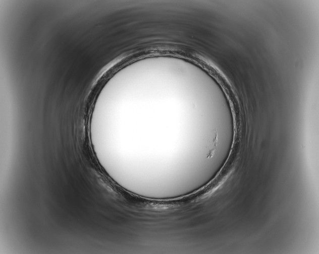 X0000086230829200703290942