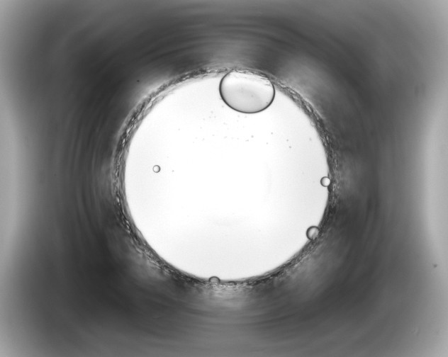 X0000086230832200703290942