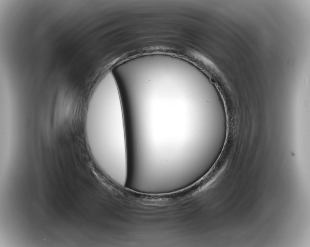 X0000086230833200703290942