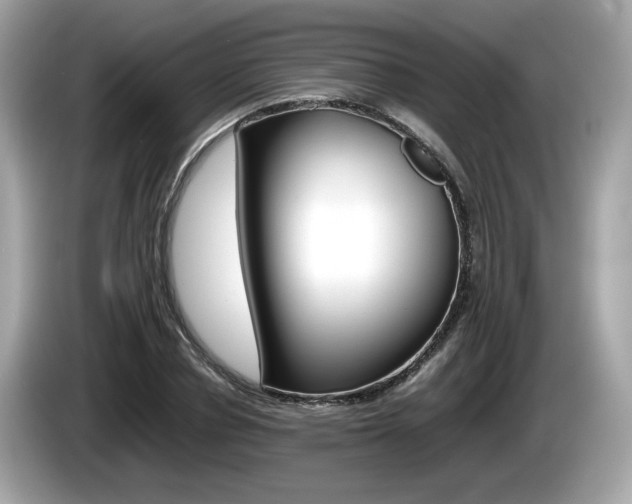 X0000086230834200703290942