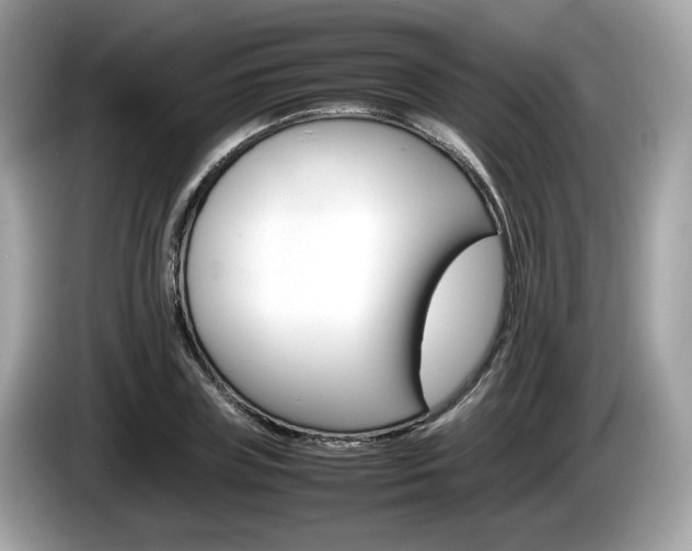 X0000086230835200703290942