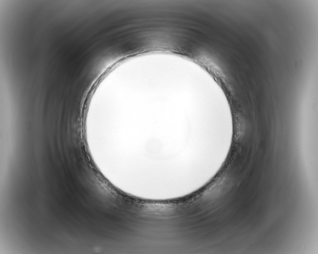 X0000086230836200703290942