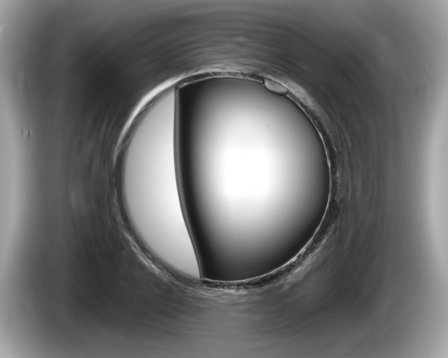 X0000086230838200703290942