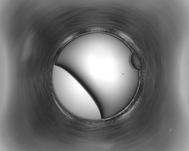 X0000086230841200703290942