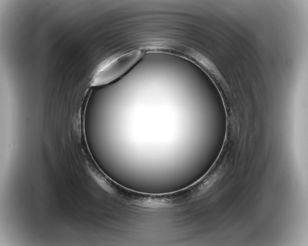 X0000086230842200703290942
