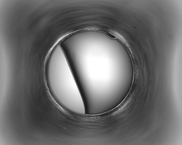 X0000086230843200703290942